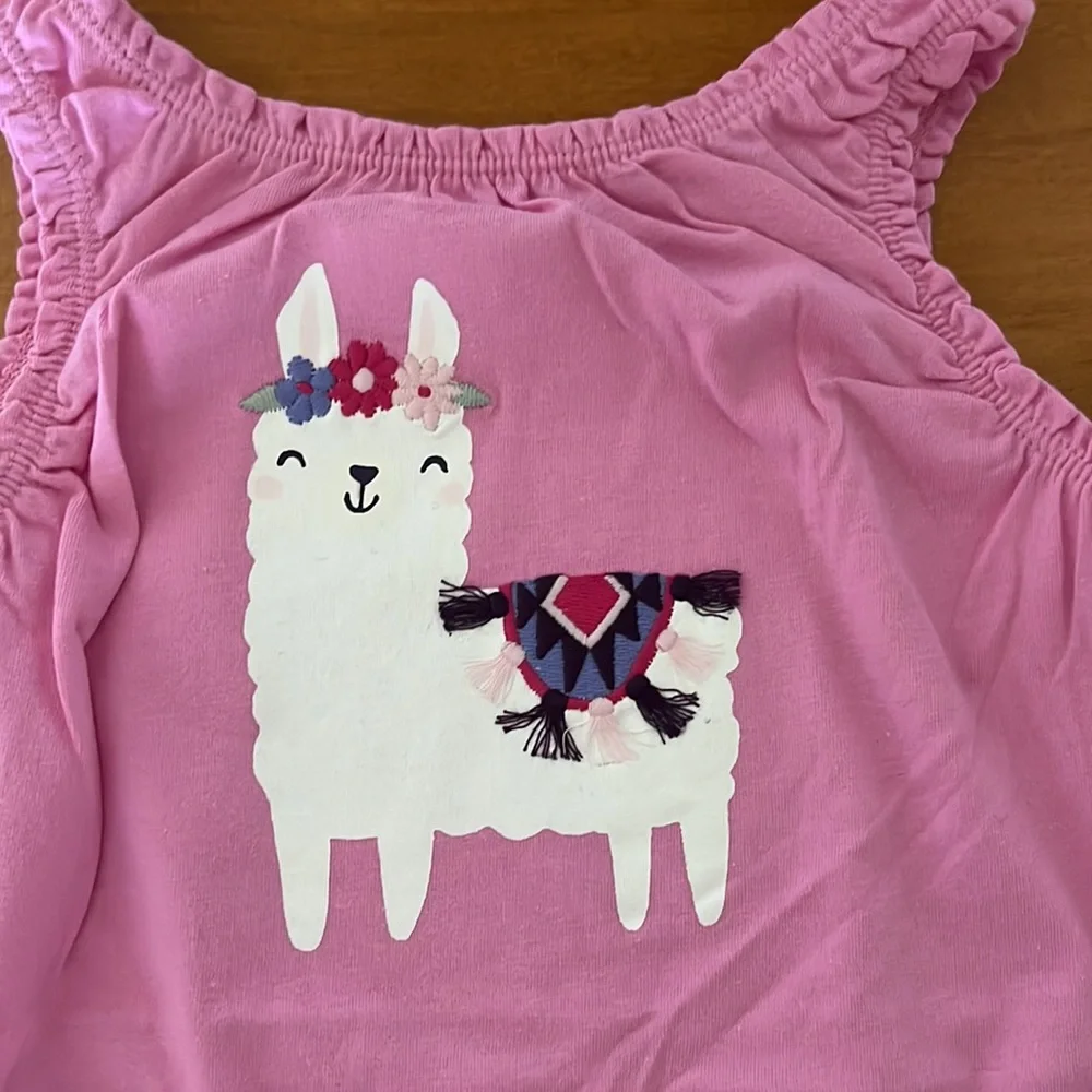 Gymboree 12-18 months baby onesie set